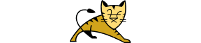 Tomcat Icon
