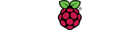 raspberry pi Icon