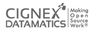 cignex datamatics logo