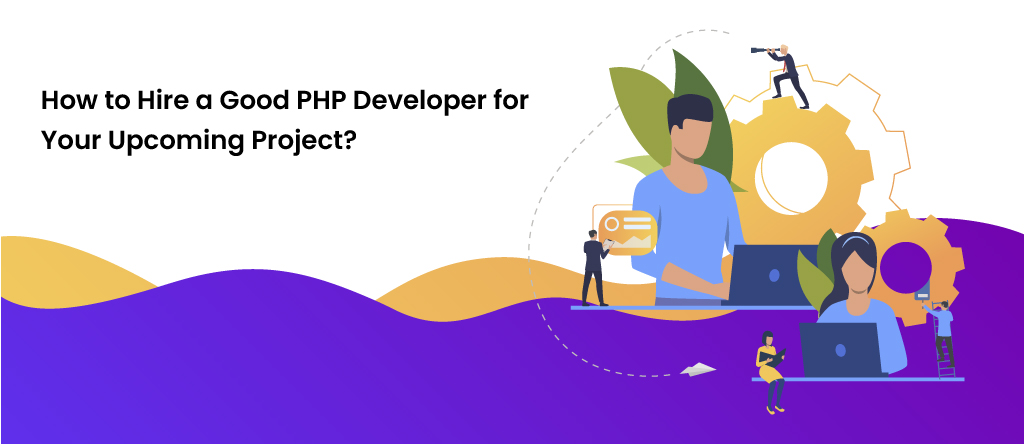 PHP Developer